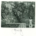The Summer Image II.