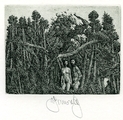 The Summer Image I.