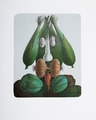 Arcimboldo Zelenina